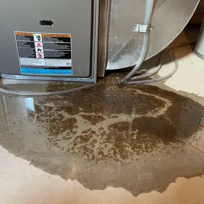 Appliance Leak Cleanup in Saint Hedwig, TX